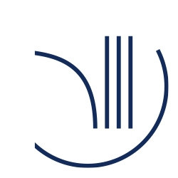 logo for Danish Institute for International Studies
